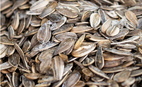 Sunflower Seeds 1/2 LB