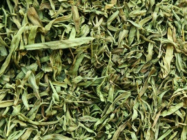 Tarragon